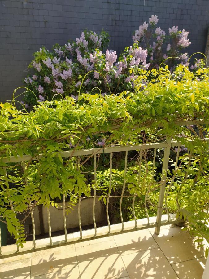 La Glycine Hypercentre Et Tout Confort Deauville Bagian luar foto